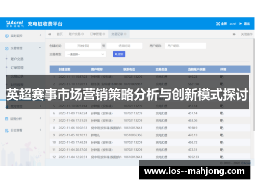 英超赛事市场营销策略分析与创新模式探讨 英超赛事市场营销策略分析与创新模式探讨