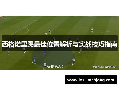 西格诺里踢最佳位置解析与实战技巧指南 西格诺里踢最佳位置解析与实战技巧指南