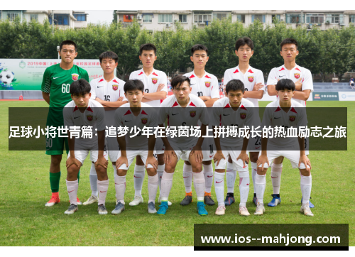 足球小将世青篇:追梦少年在绿茵场上拼搏成长的热血励志之旅 足球小将世青篇:追梦少年在绿茵场上拼搏成长的热血励志之旅