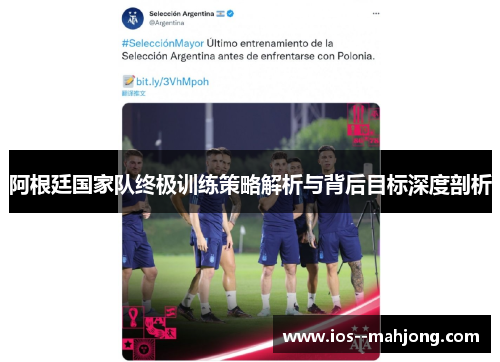 阿根廷国家队终极训练策略解析与背后目标深度剖析 阿根廷国家队终极训练策略解析与背后目标深度剖析